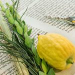 Celebrate Sukkot at Temple Zion