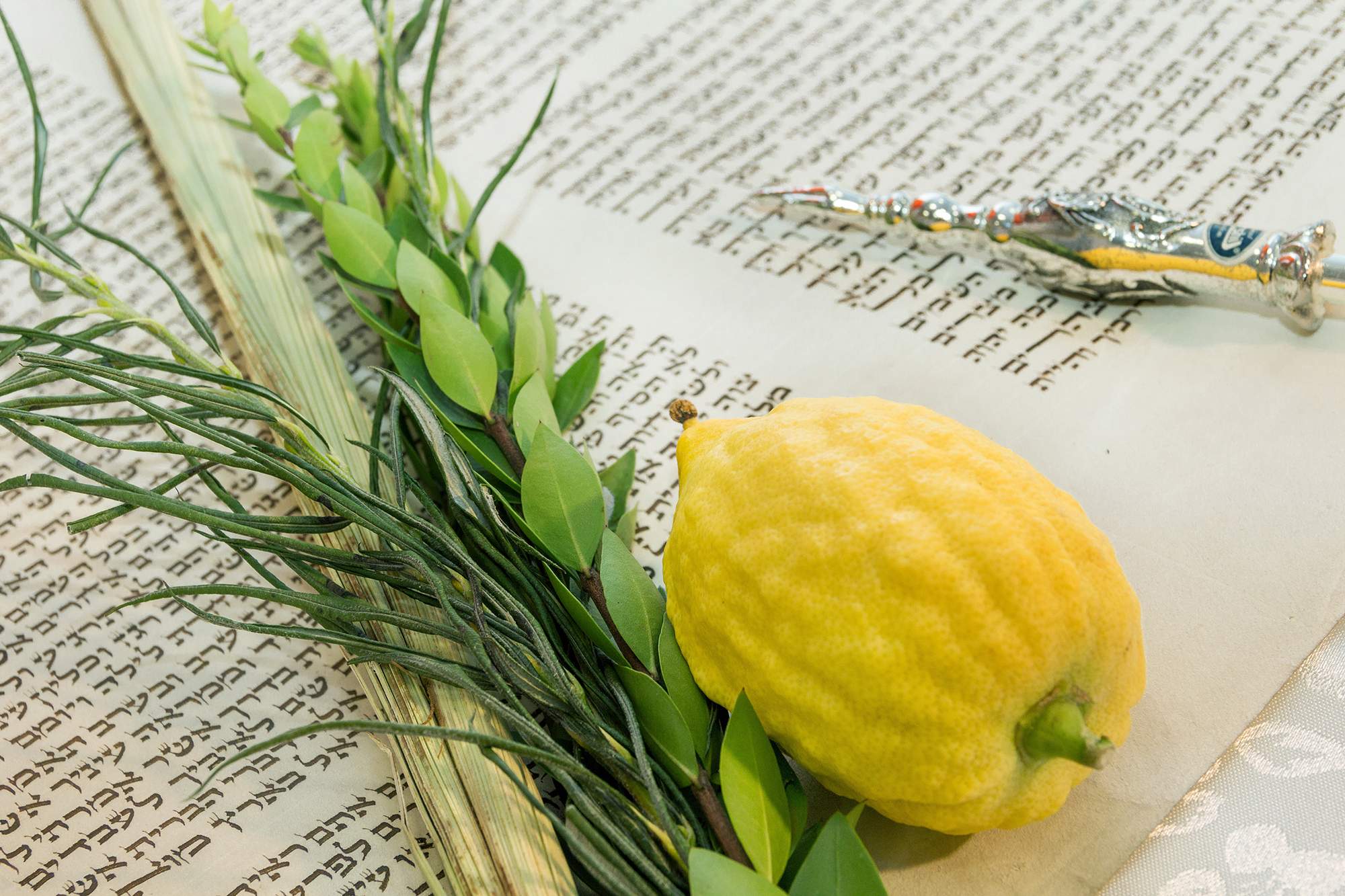 Celebrate Sukkot at Temple Zion